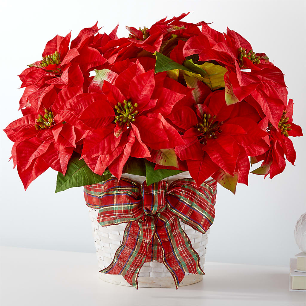 Happiest Holidays Poinsettia – The Flower Garden #2, Tupelo MS