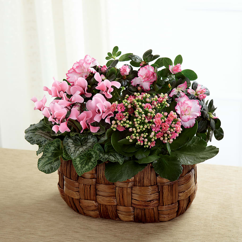 Pink Assortment – The Flower Garden #2, Tupelo MS