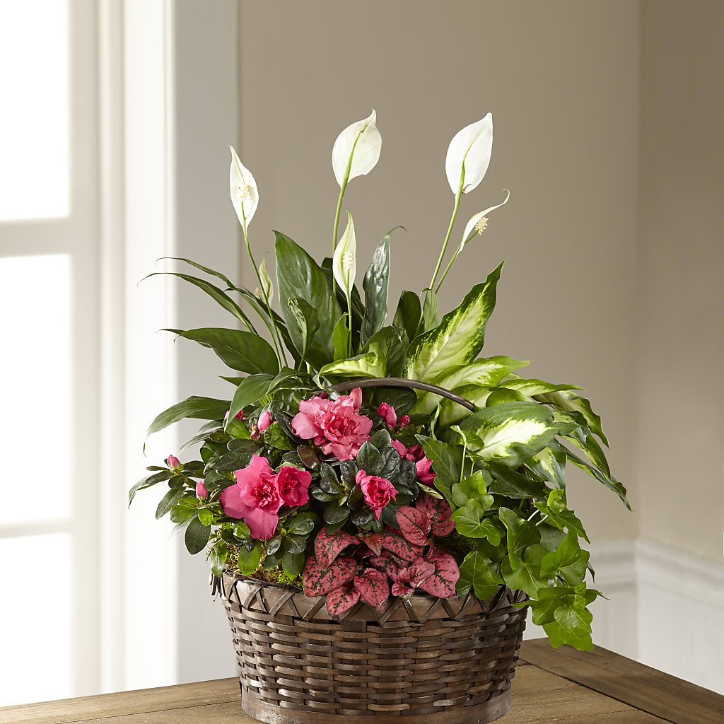 Dream in Pink Dishgarden – The Flower Garden #2, Tupelo MS