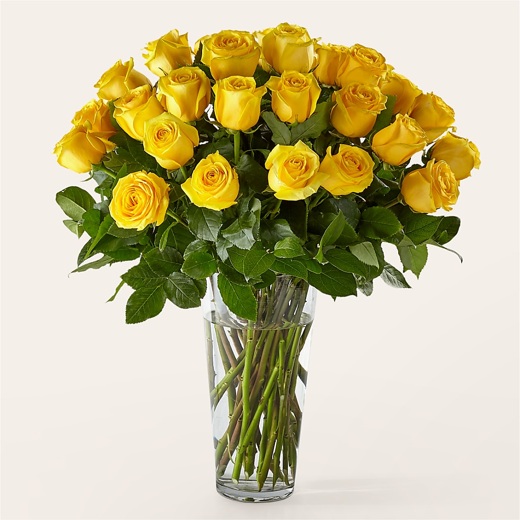 Long Stem Yellow Rose Bouquet – The Flower Garden #2, Tupelo MS