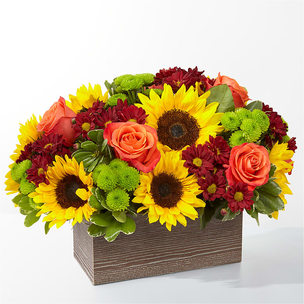 Happy Harvest Garden – The Flower Garden #2, Tupelo MS