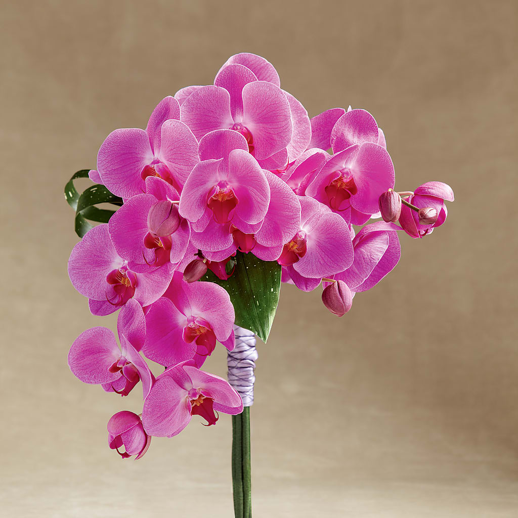 Glorious Bouquet – The Flower Garden #2, Tupelo MS