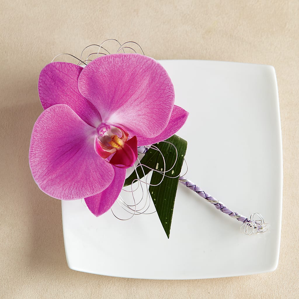 Glorious Boutonniere – The Flower Garden #2, Tupelo MS