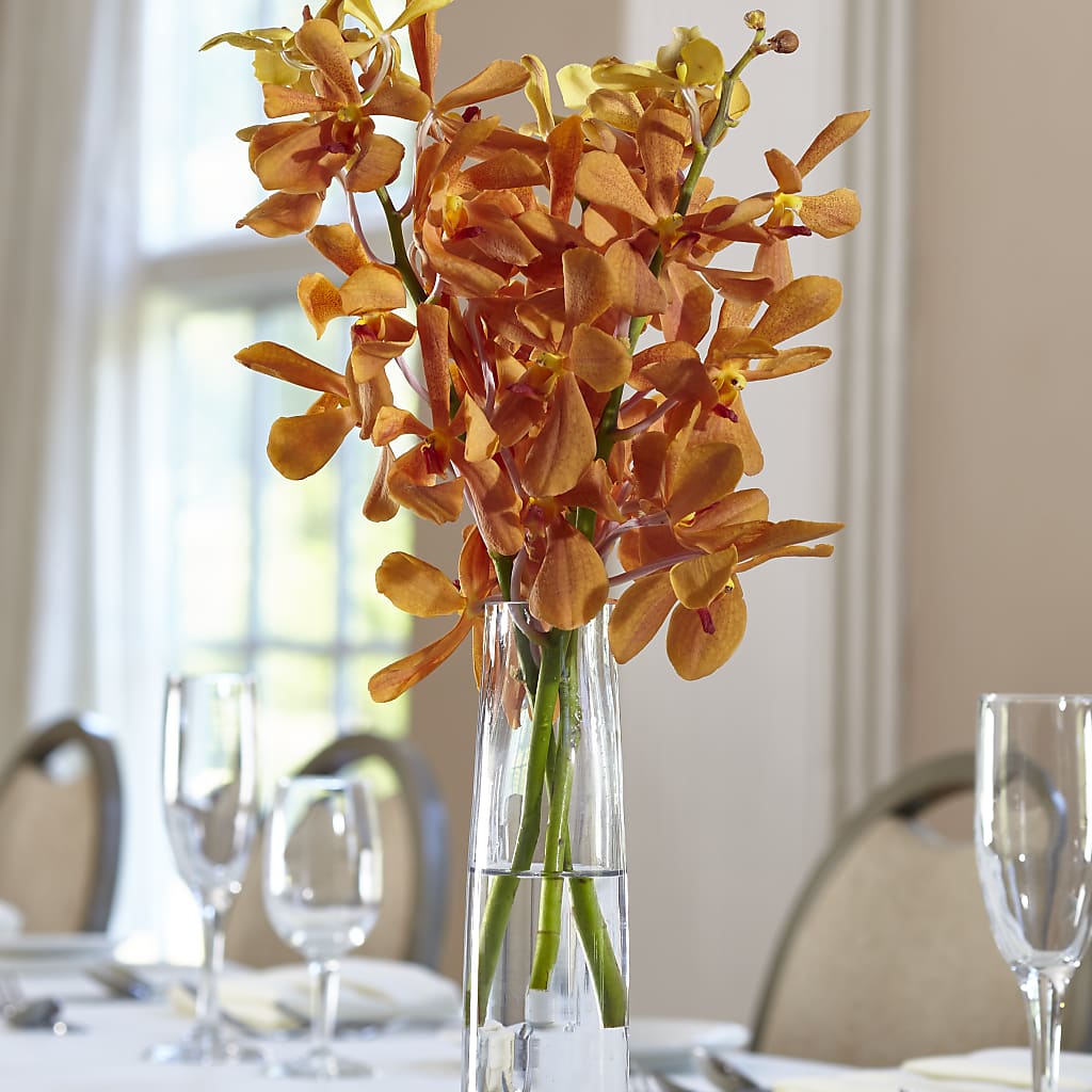 Orange Mokara Bud Vase – The Flower Garden #2, Tupelo MS