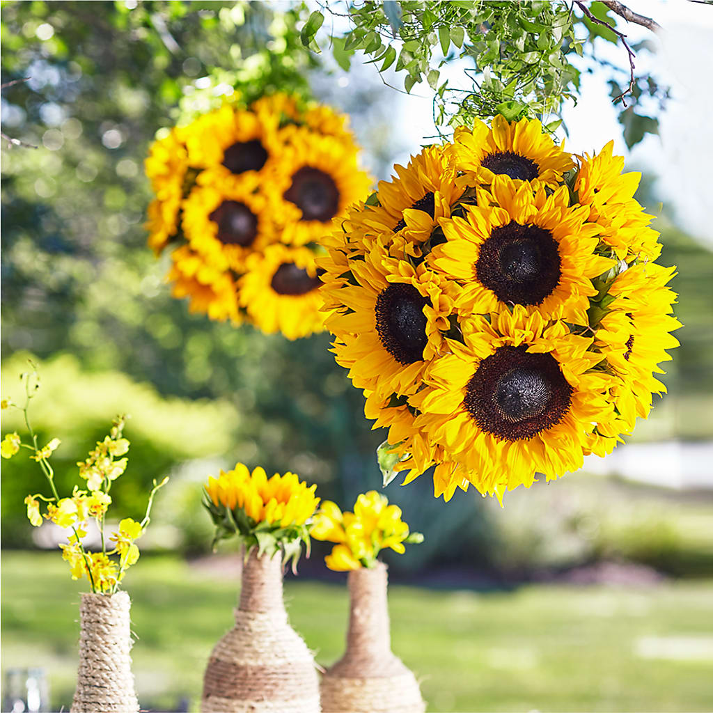 Sublime Garden Hanging Arrangement – The Flower Garden #2, Tupelo MS