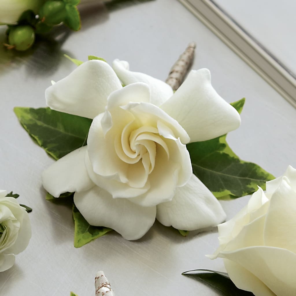 Gardenia Boutonniere – The Flower Garden #2, Tupelo MS