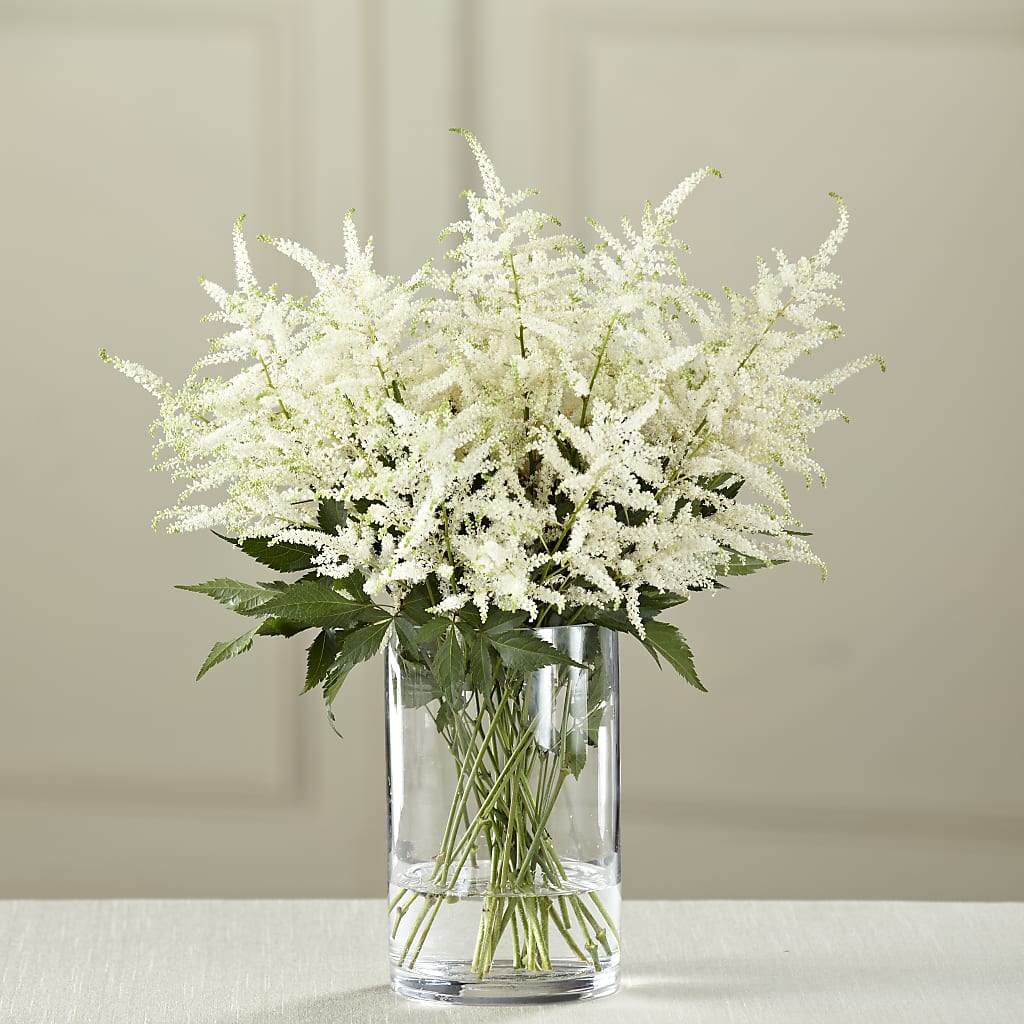 White Astilbe Bouquet – The Flower Garden #2, Tupelo MS
