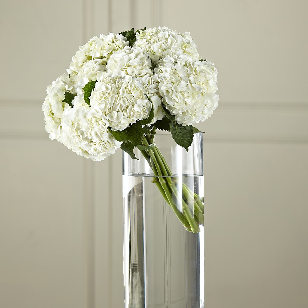 White Hydrangea Hand-Tied Bouquet – The Flower Garden #2, Tupelo MS