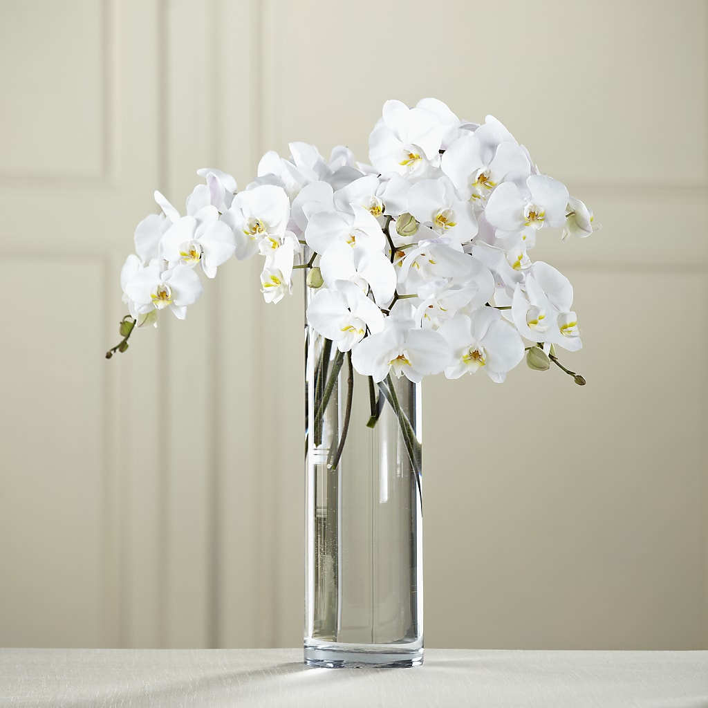 White Phalaenopsis Bouquet – The Flower Garden #2, Tupelo MS