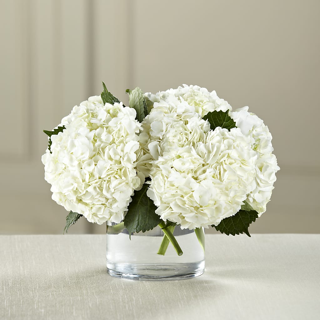 White Hydrangea Bouquet – The Flower Garden #2, Tupelo MS