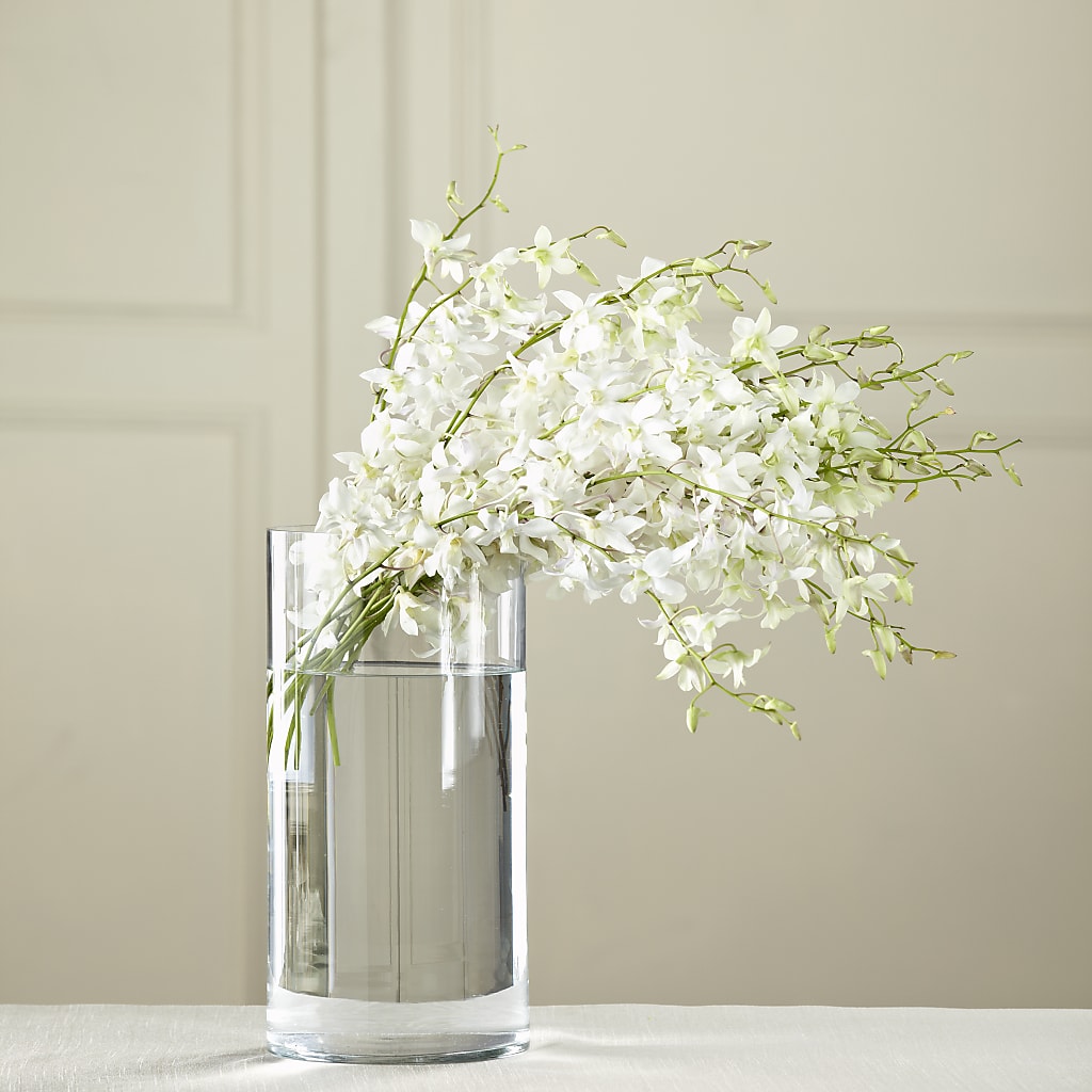 White Dendrobium Bouquet – The Flower Garden #2, Tupelo MS