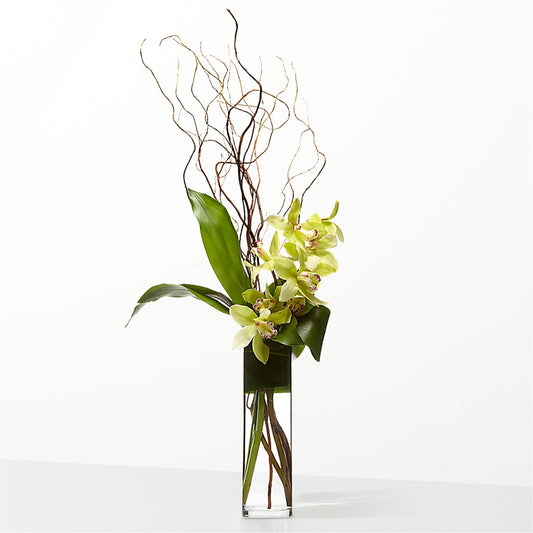 The Statement –  The Flower Garden #2, Tupelo MS