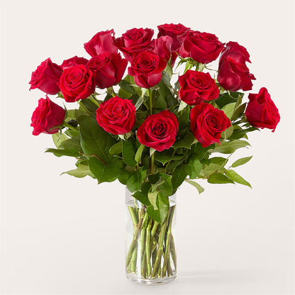 The One Red Rose Bouquet –  The Flower Garden #2, Tupelo MS