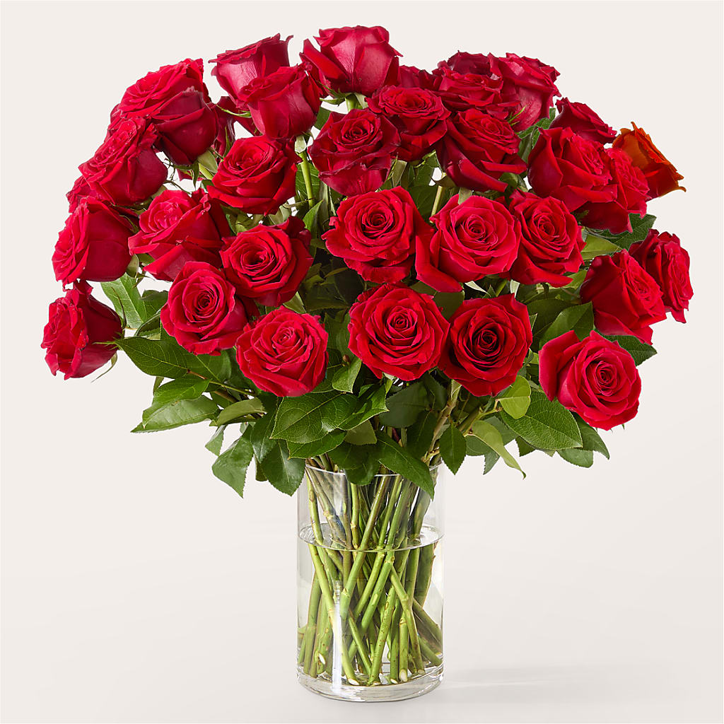 The One Red Rose Bouquet –  The Flower Garden #2, Tupelo MS
