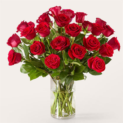 The One Red Rose Bouquet –  The Flower Garden #2, Tupelo MS