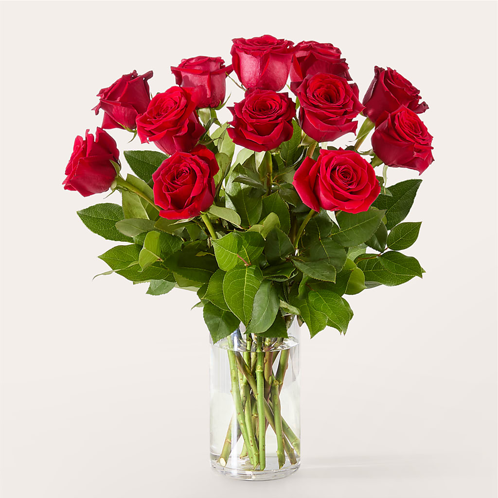 The One Red Rose Bouquet –  The Flower Garden #2, Tupelo MS
