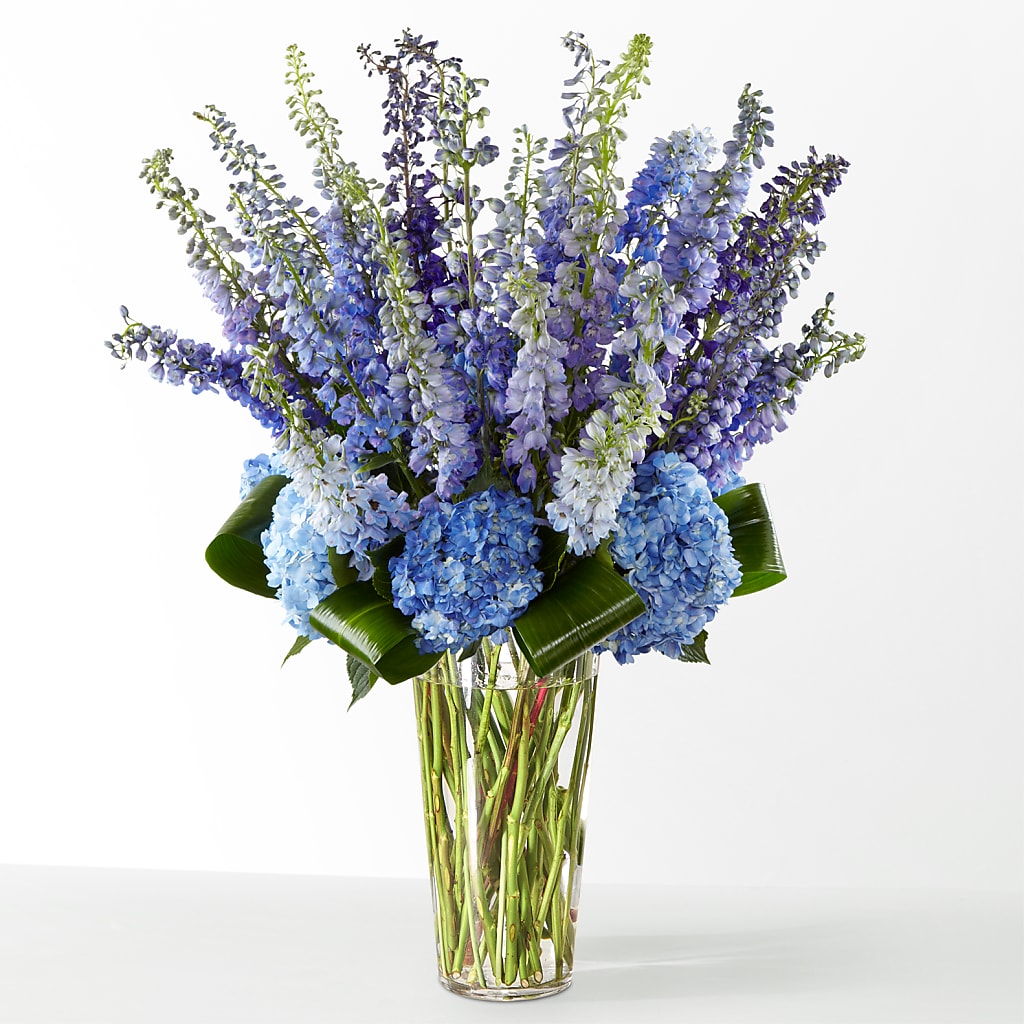 The Editorial –  The Flower Garden #2, Tupelo MS